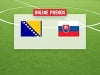 Bosna a Hercegovina –