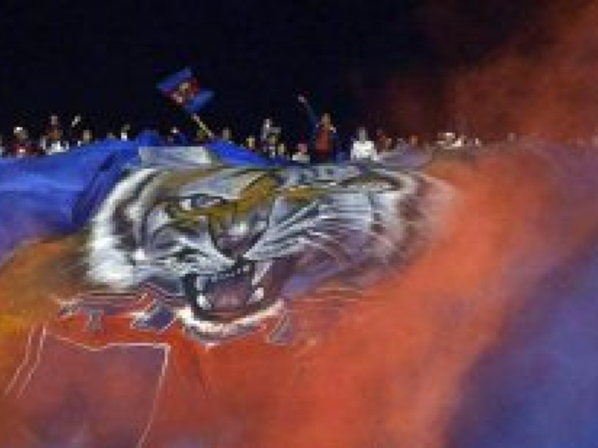Fanúšikovia Tigre