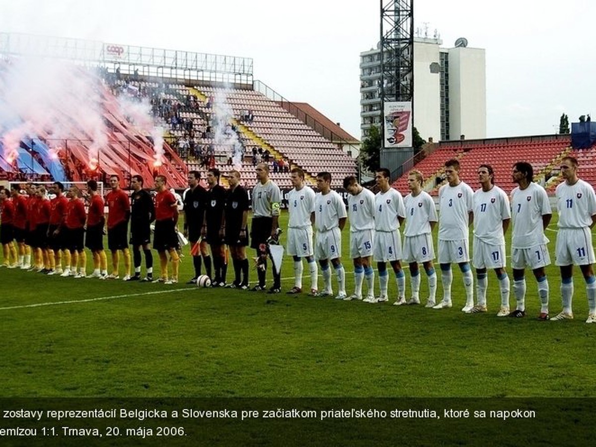 Zápas Slovenska s Belgickom v roku 2006