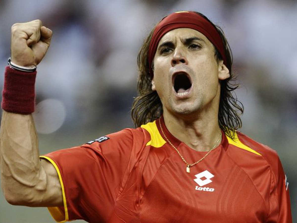 David Ferrer