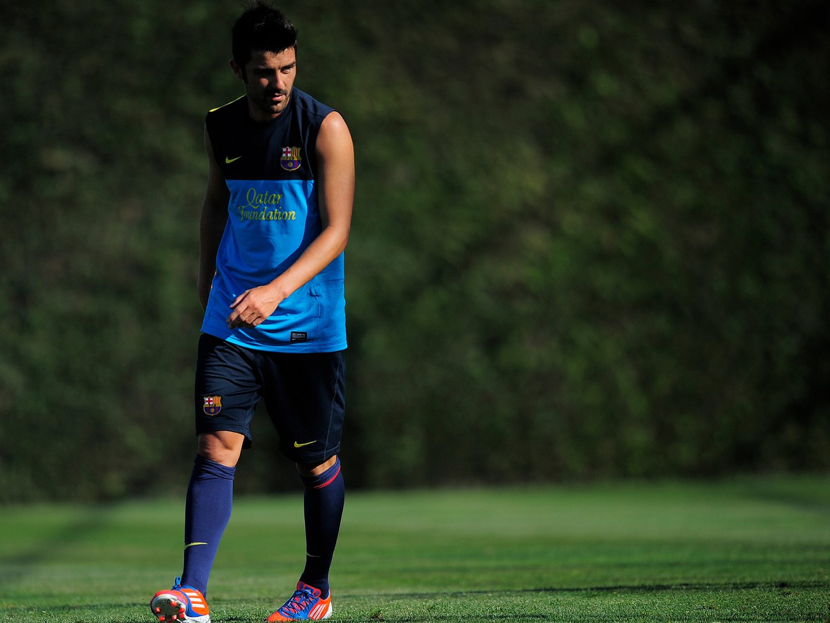 David Villa