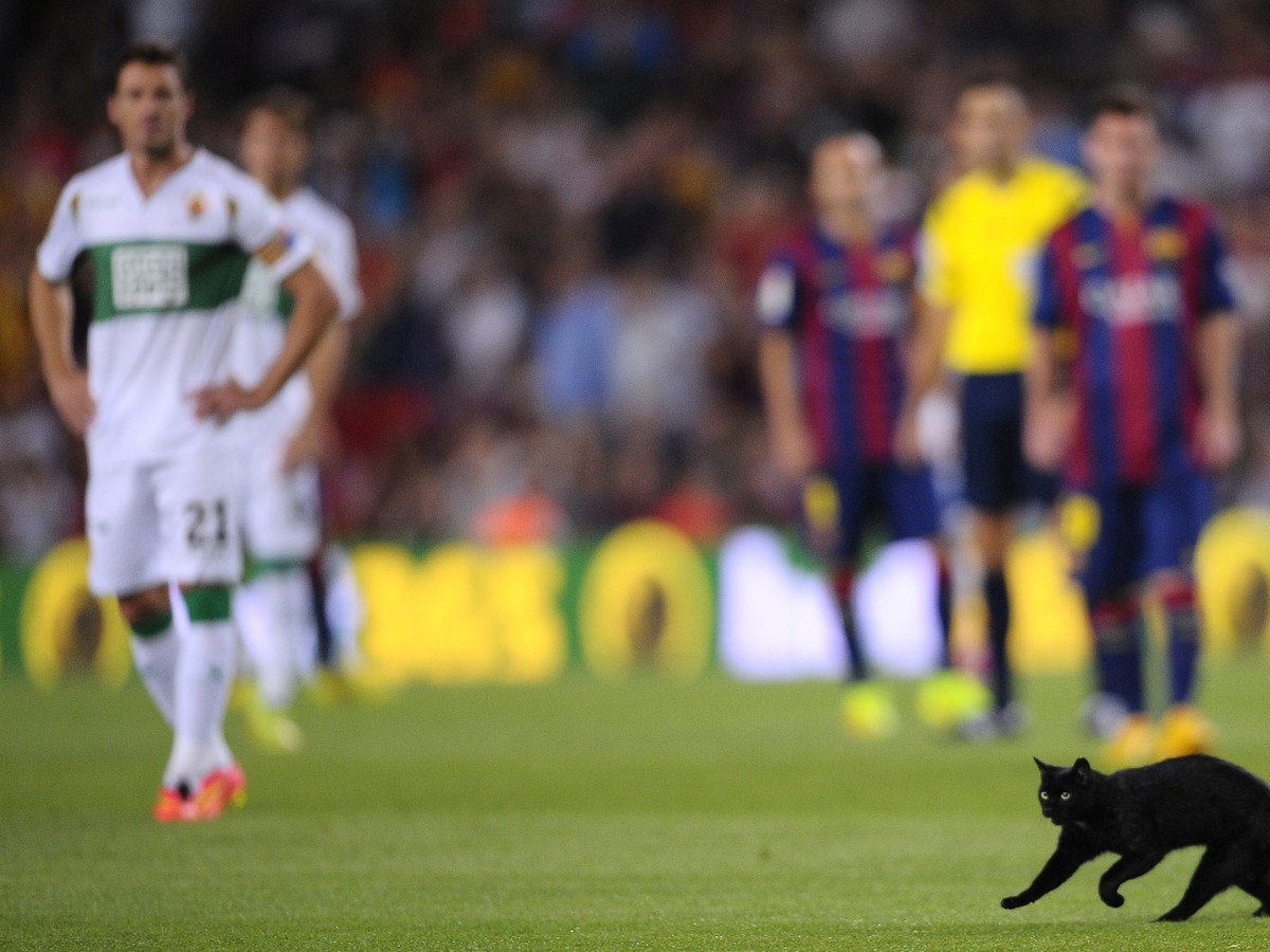 Otvárací duel Barcelony na Nou Campe sprevádzala čierna mačka