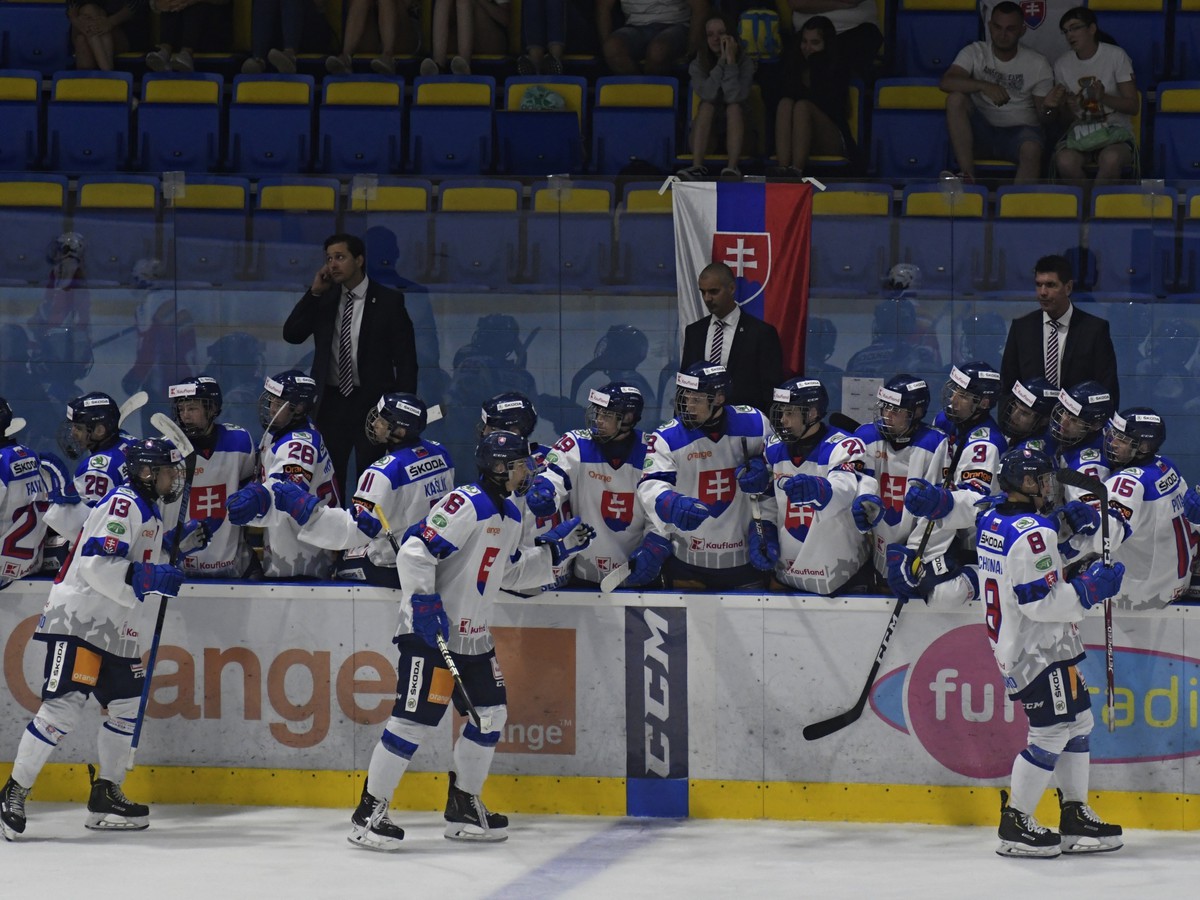 Slovenskí hokejisti na Hlinka-Gretzky Cupe