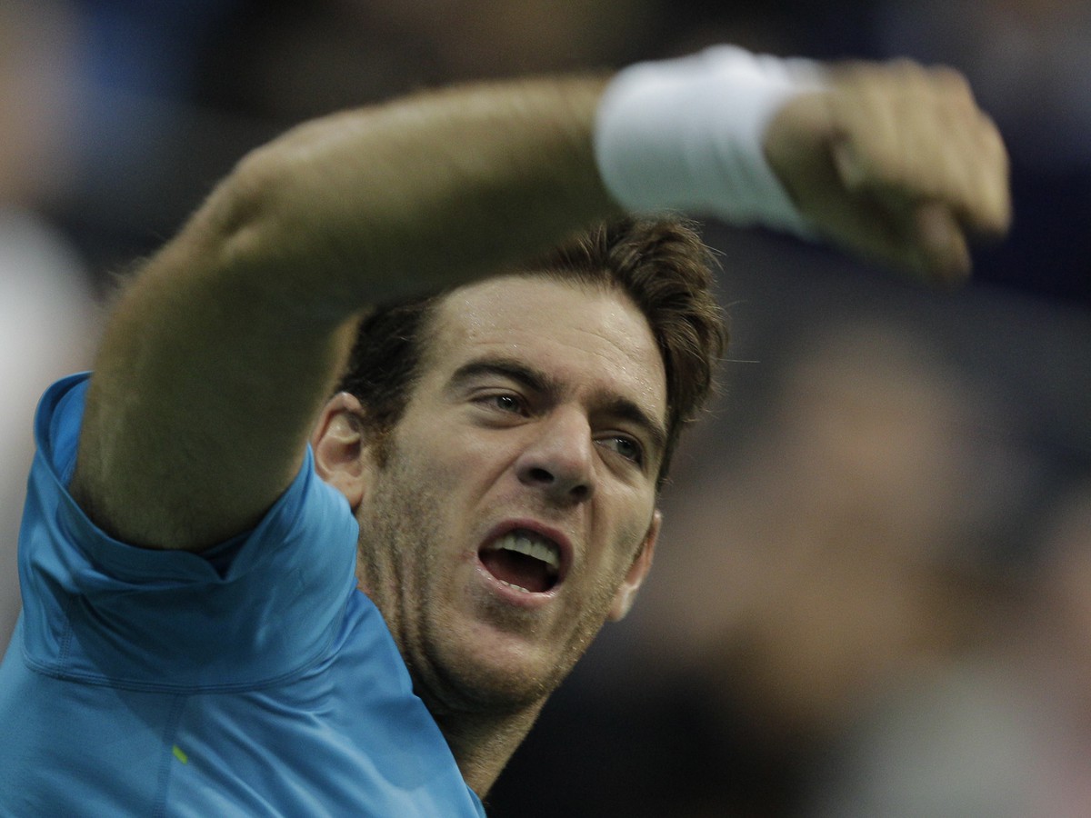 Juan Martin del Potro