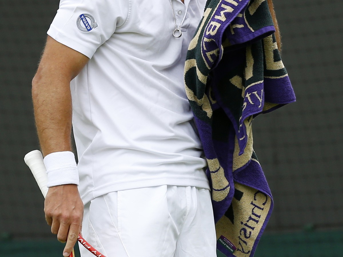 Steve Darcis