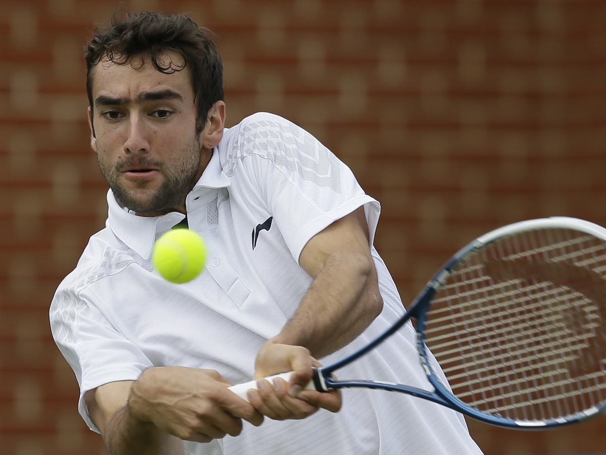 Marin Čilič