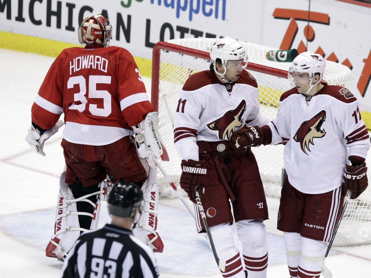 Martin Hanzal (11) a Radim Vrbata (17) 