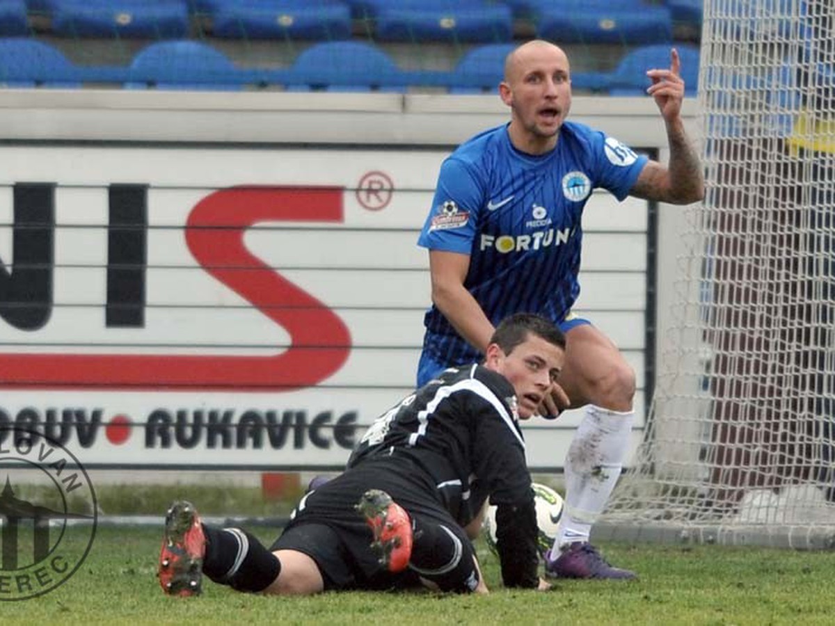 Michal Breznaník