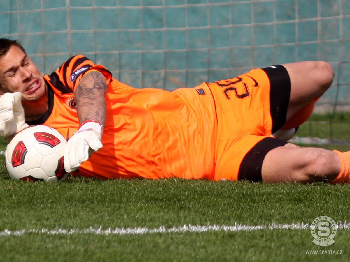 Milan Švenger