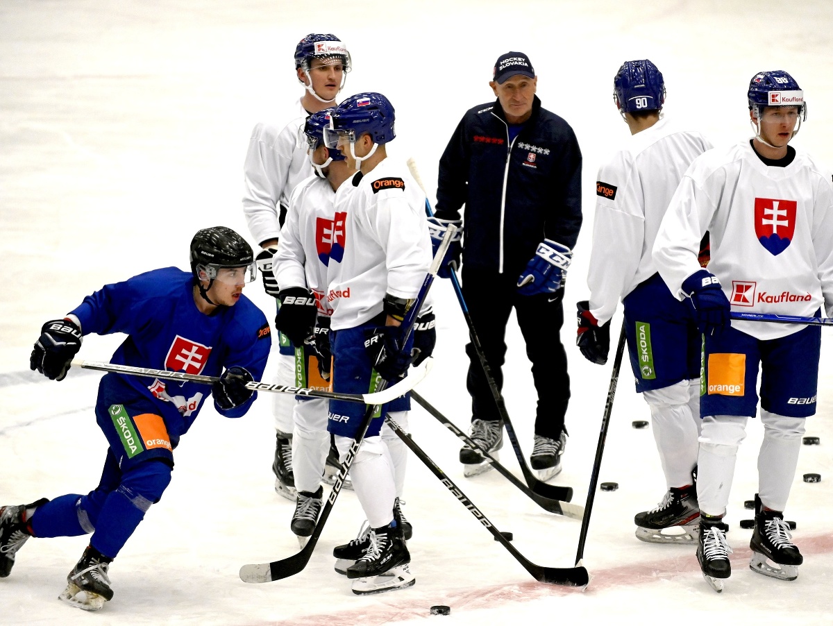 Tréner slovenskej hokejovej reprezentácie Craig Ramsay s hráčmi na tréningu 