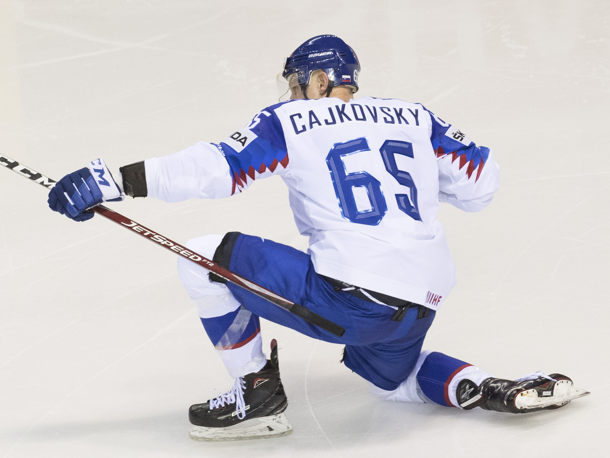 Na snímke slovenský hokejista Michal Čajkovský sa raduje z gólu počas zápasu Francúzsko - Slovensko