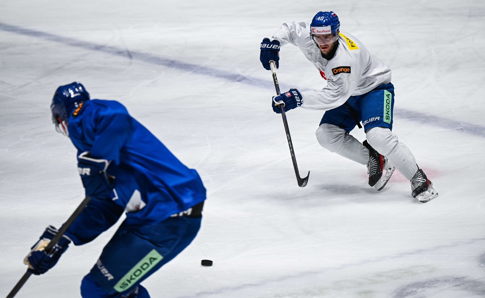 Slovenský hokejista Miloš Roman