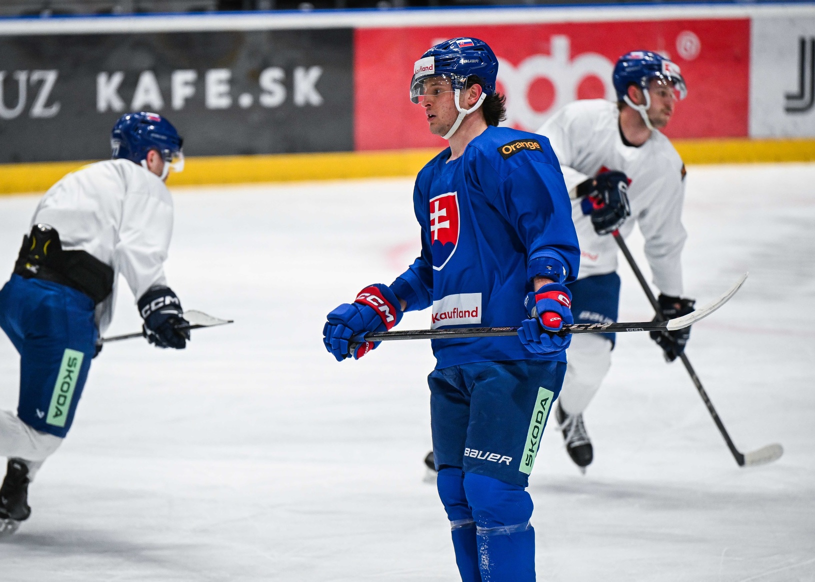 Slovenský hokejista Libor Nemec
