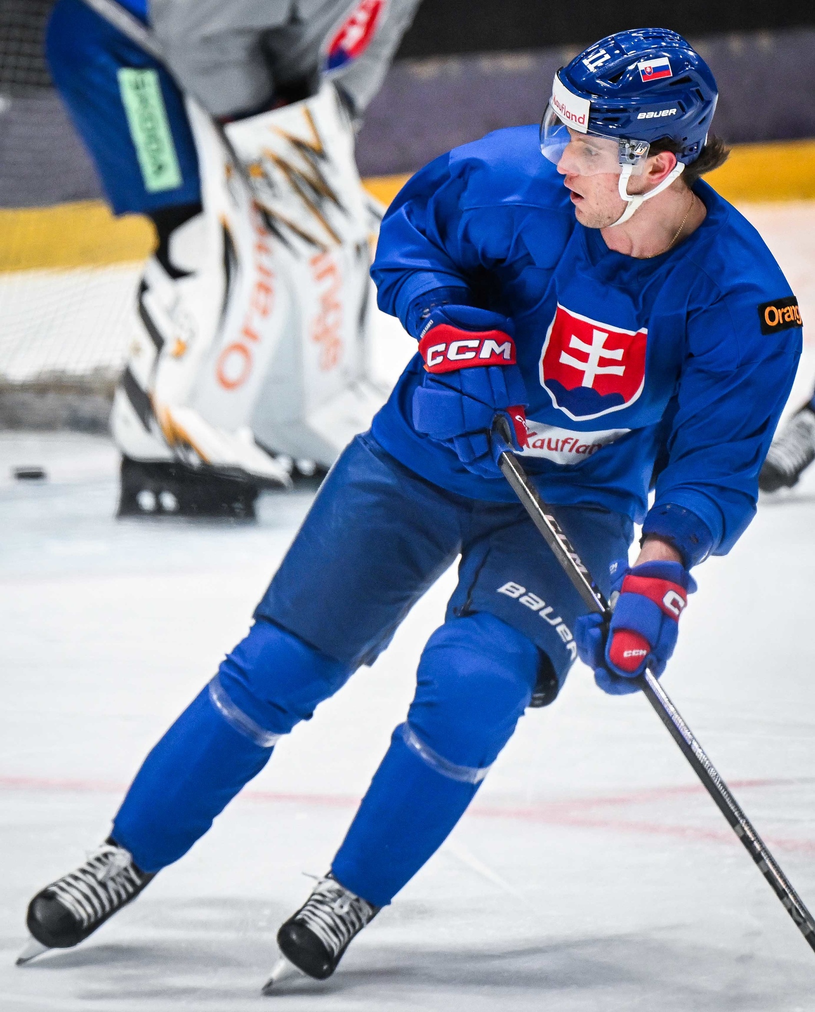 Slovenský hokejista Libor Nemec