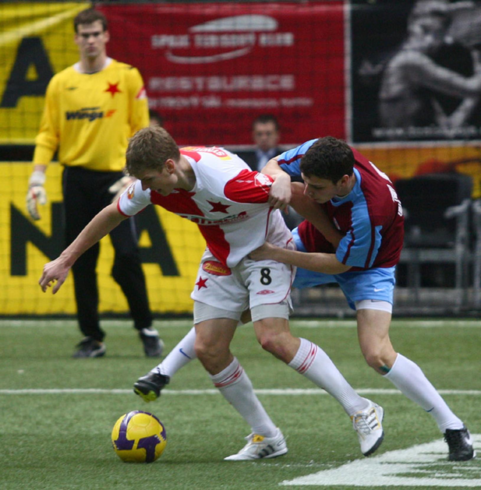 Fortuna cup