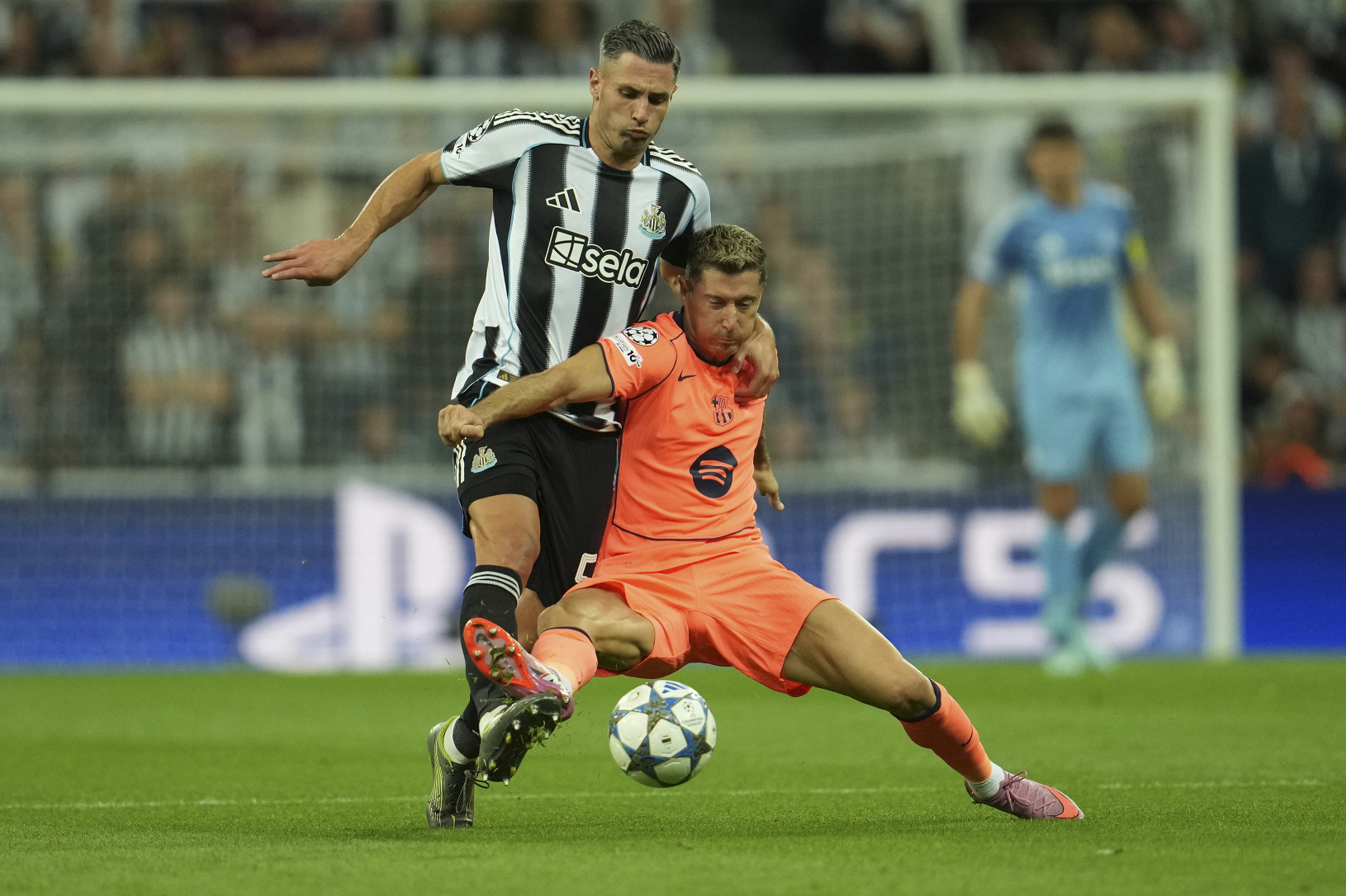 Fabian Schär a Robert