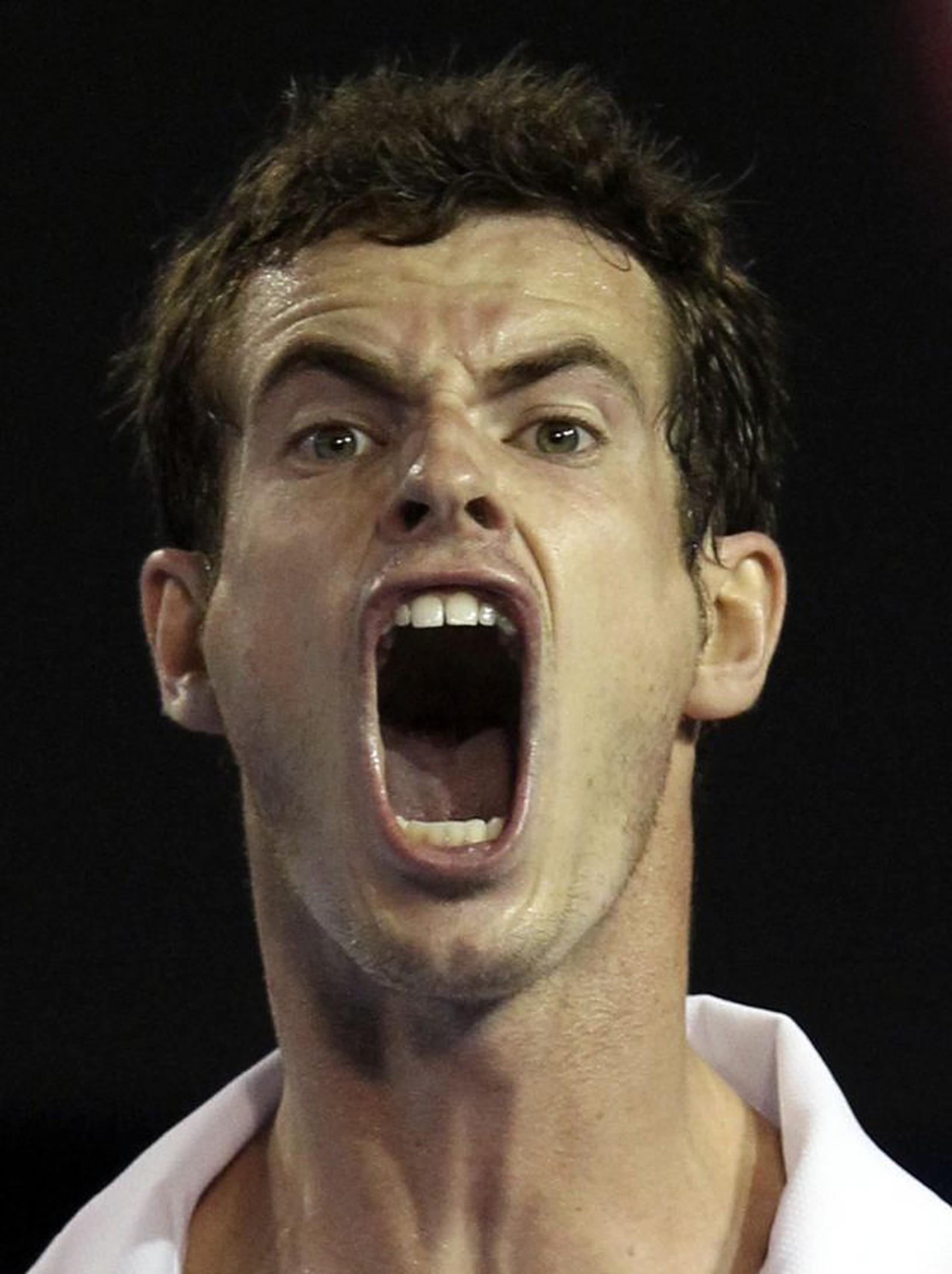 Andy Murray