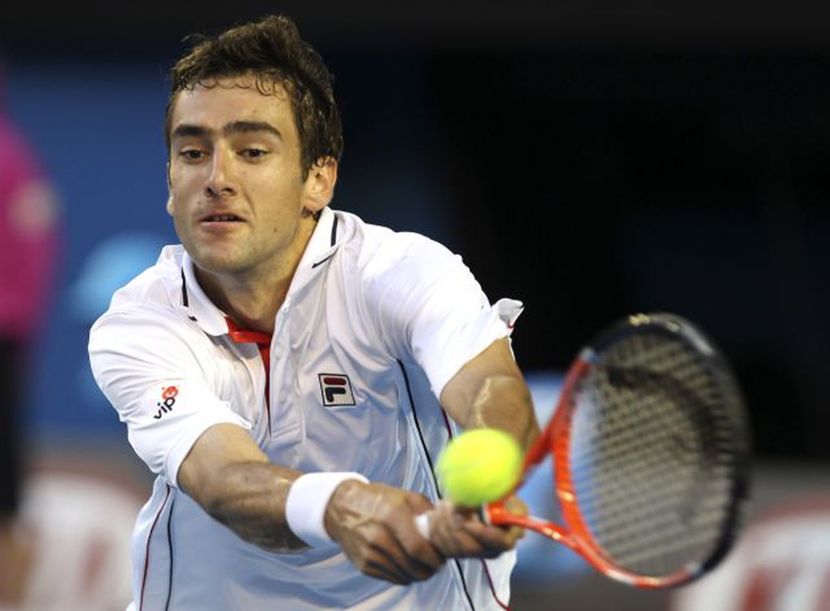 Marin Čilič