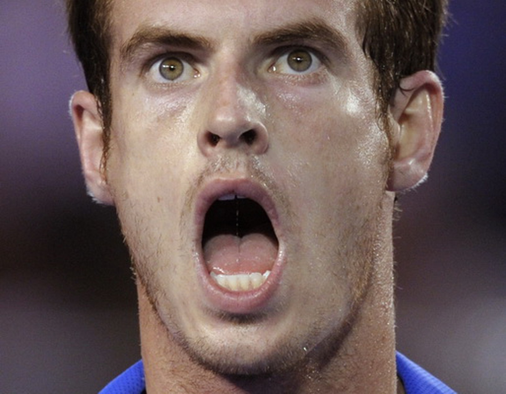 Andy Murray
