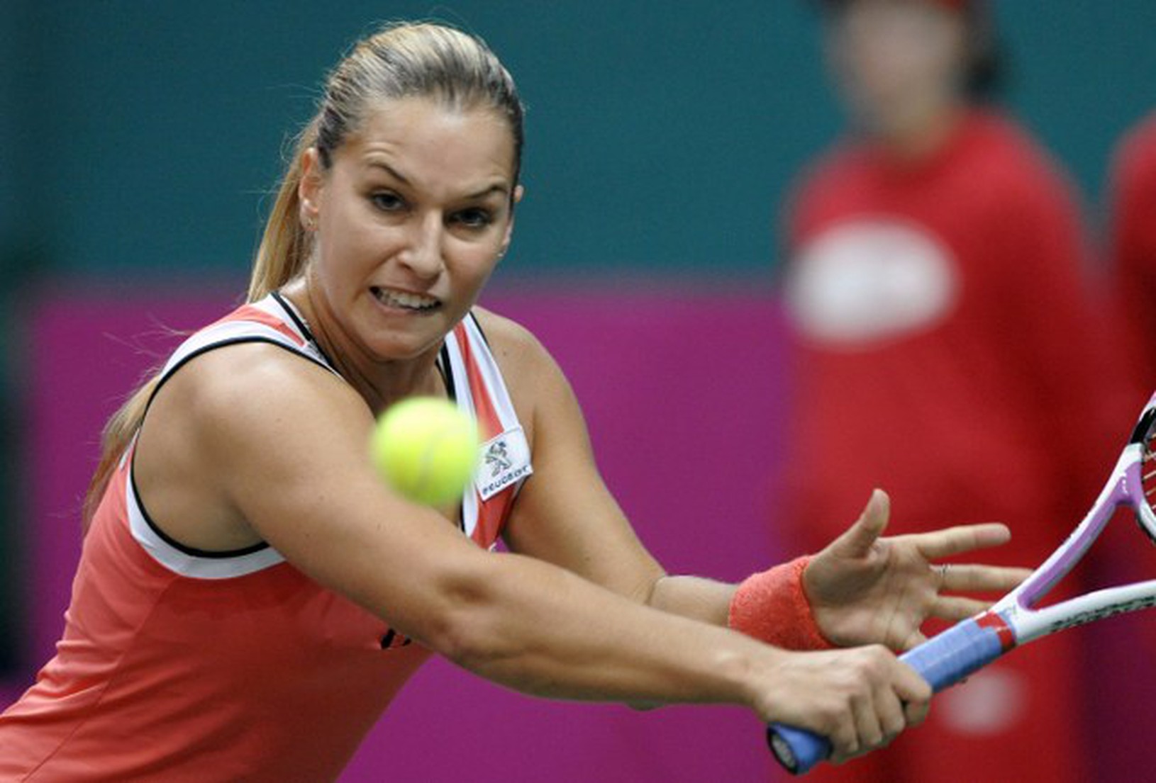 Dominika Cibulková