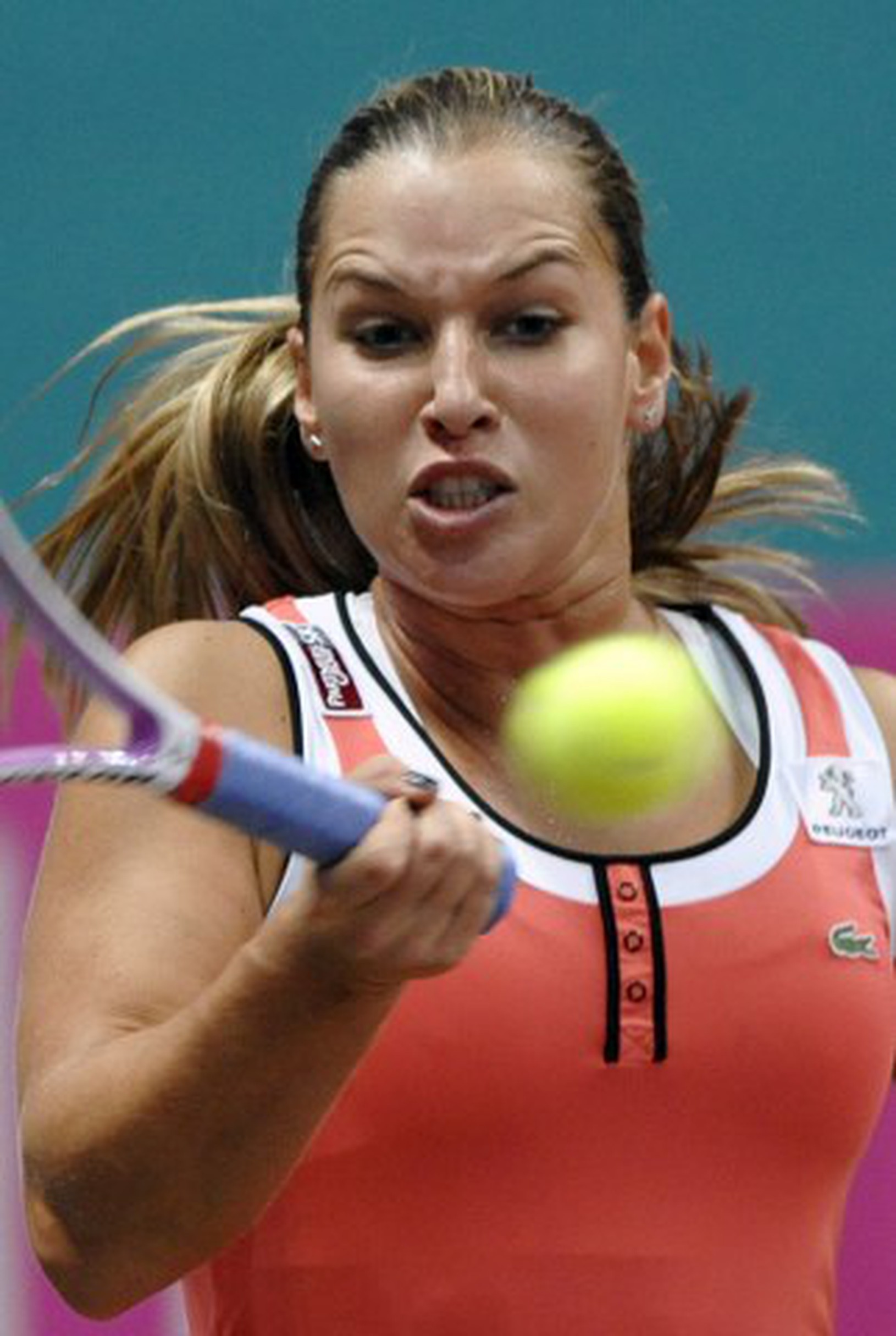 Dominika Cibulková