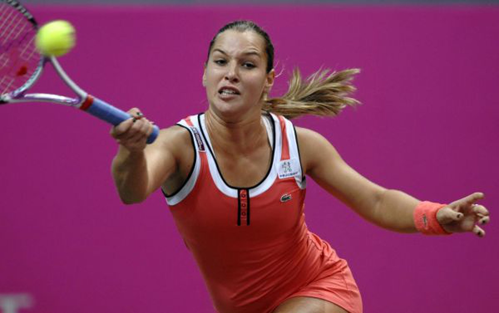 Dominika Cibulková