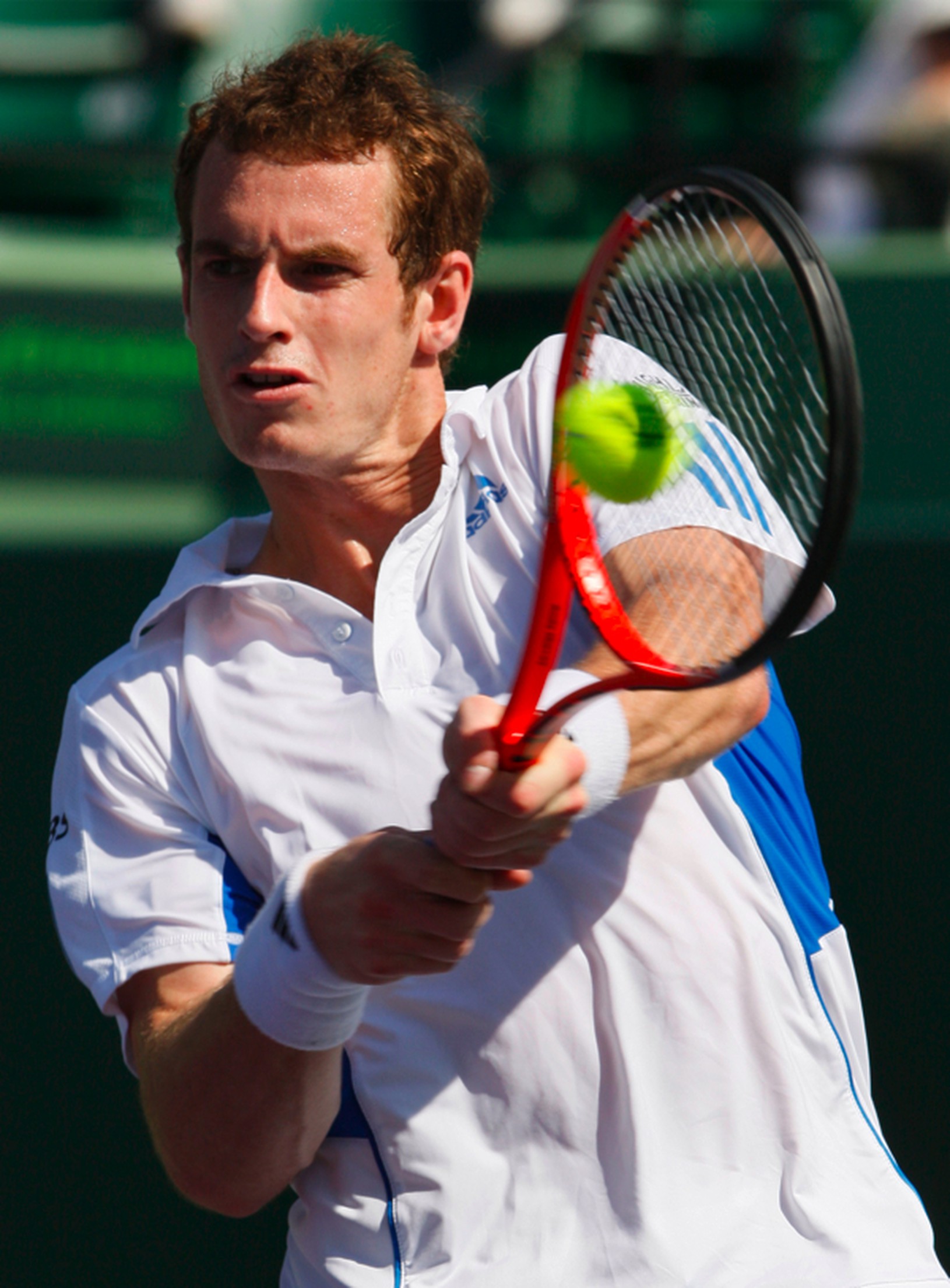 Andy Murray