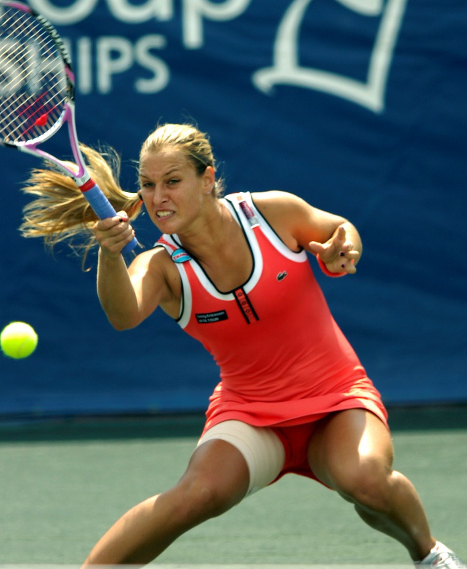 Dominika Cibulková