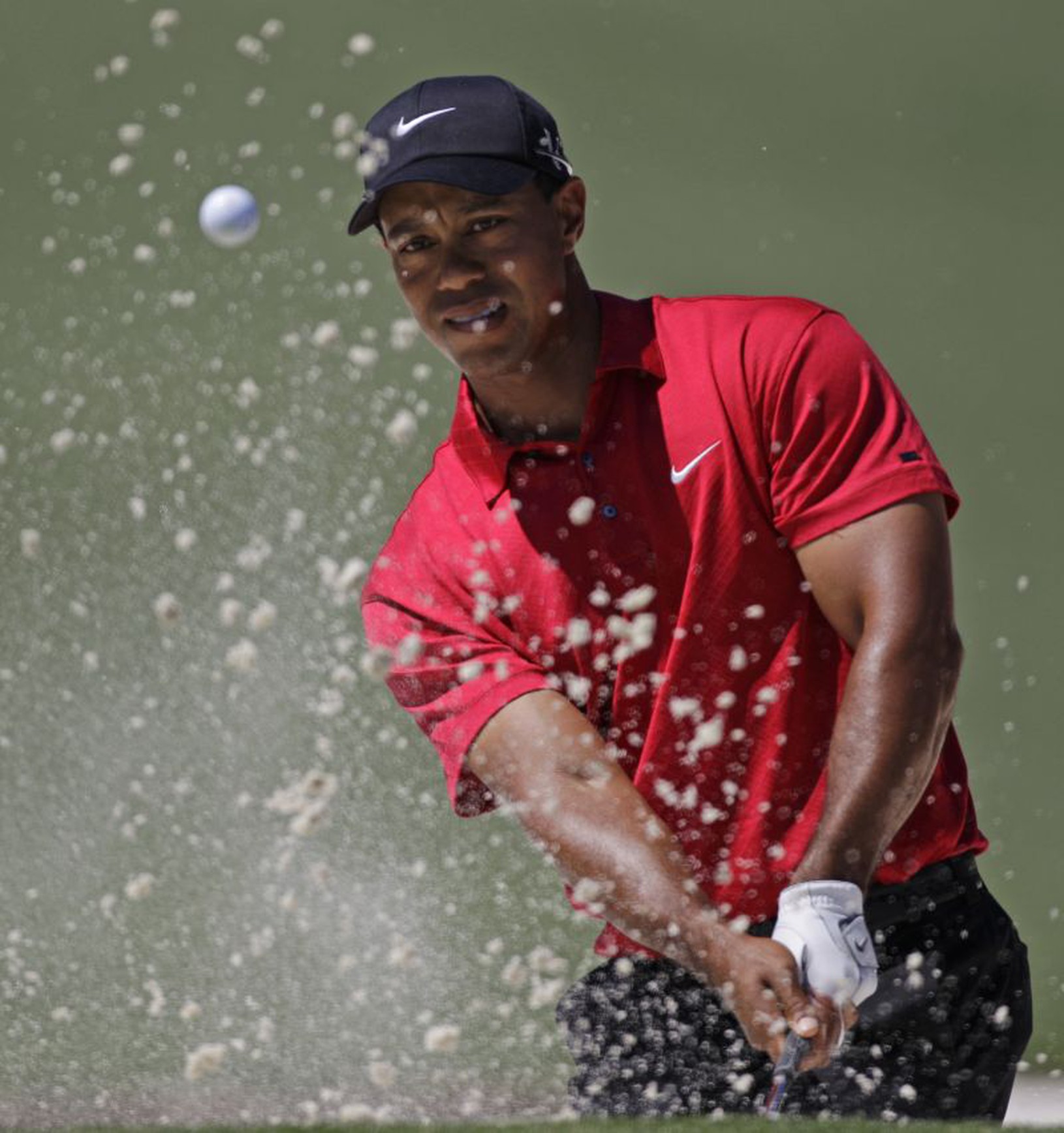 Tiger Woods