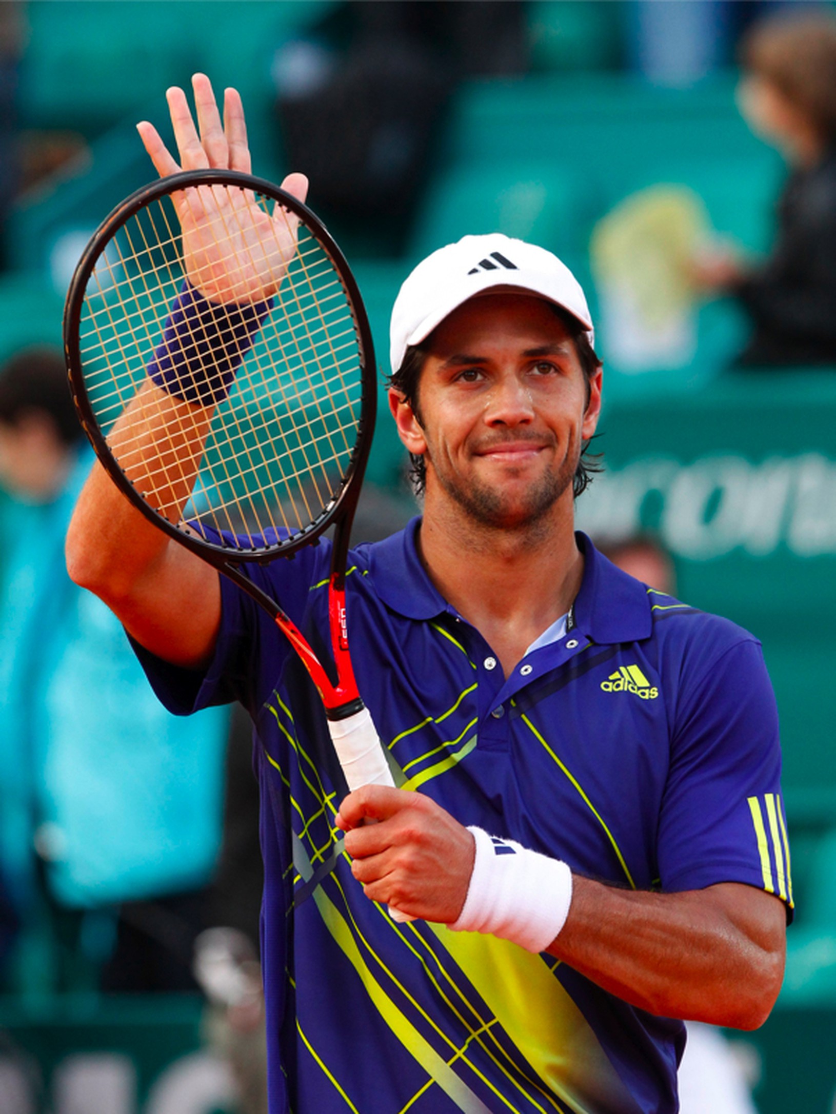 Fernando Verdasco