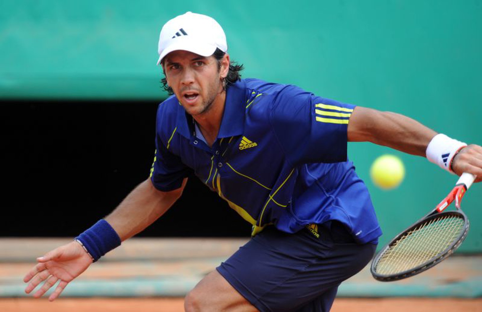 Fernando Verdasco