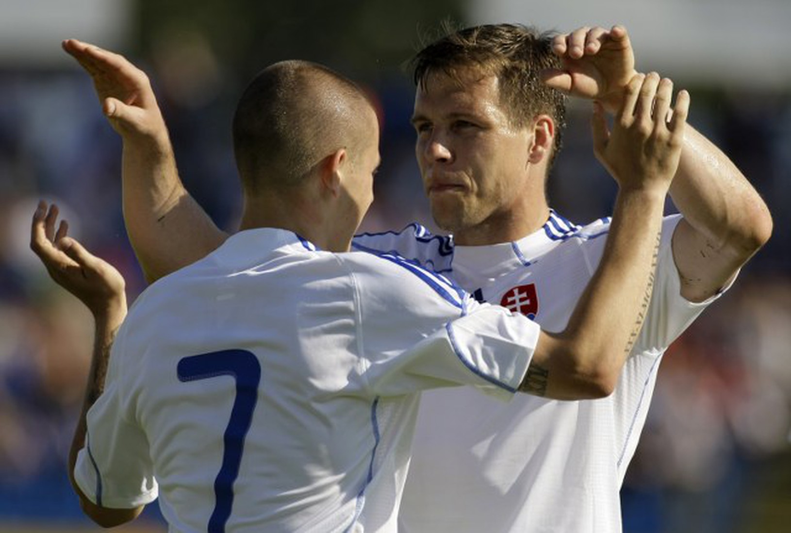 Vladimir Weiss a Radoslav