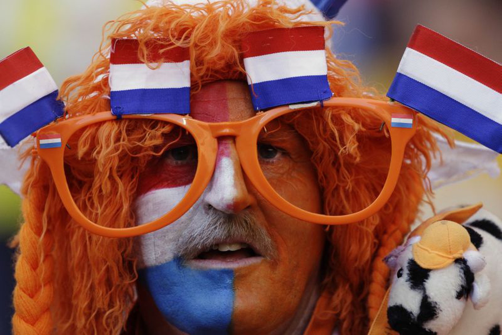 Fanúšik Holandska