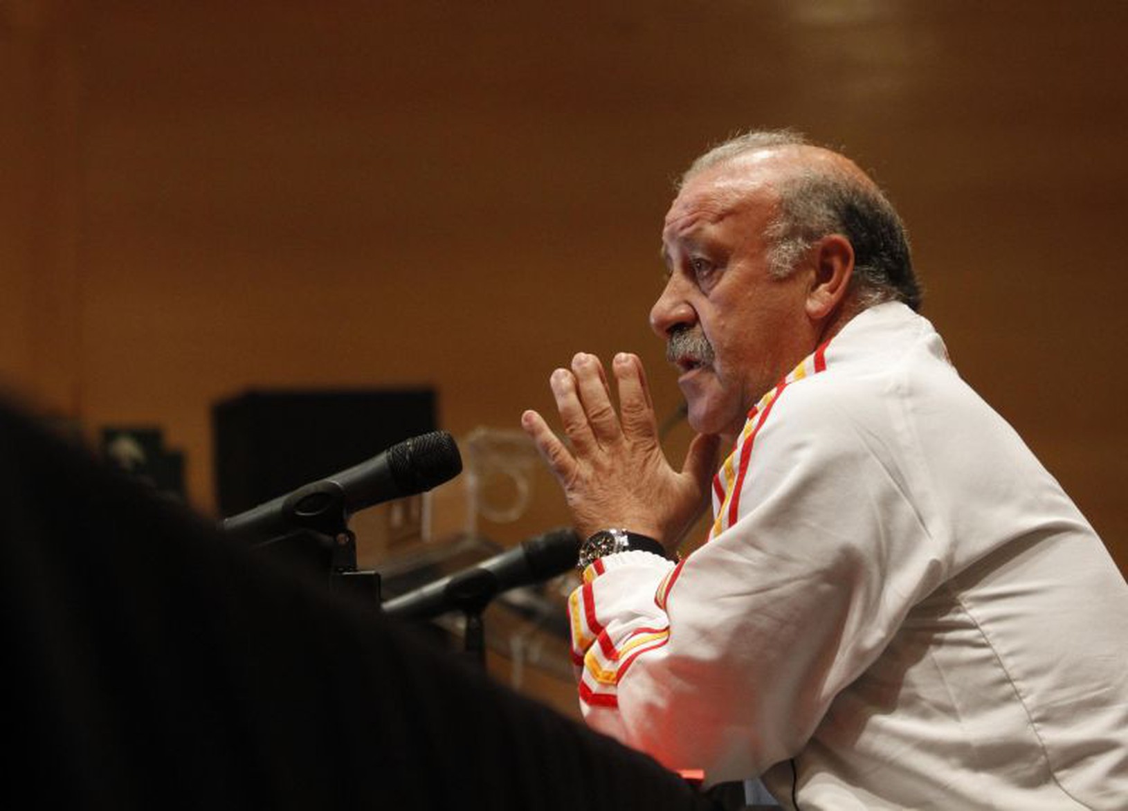 Vicente Del Bosque