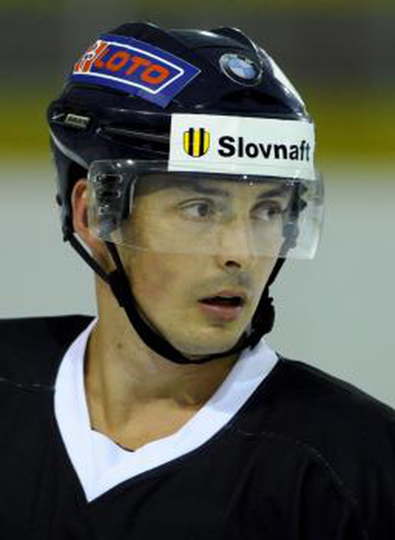Ľubomír Vaic