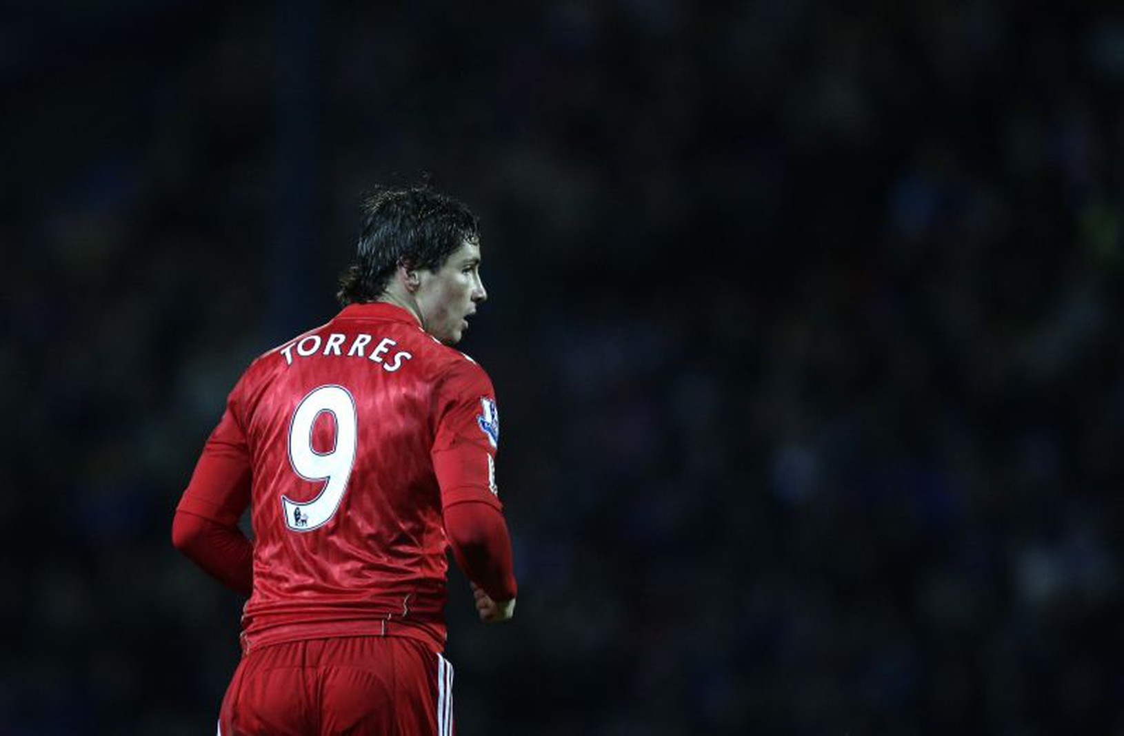 Fernando Torres