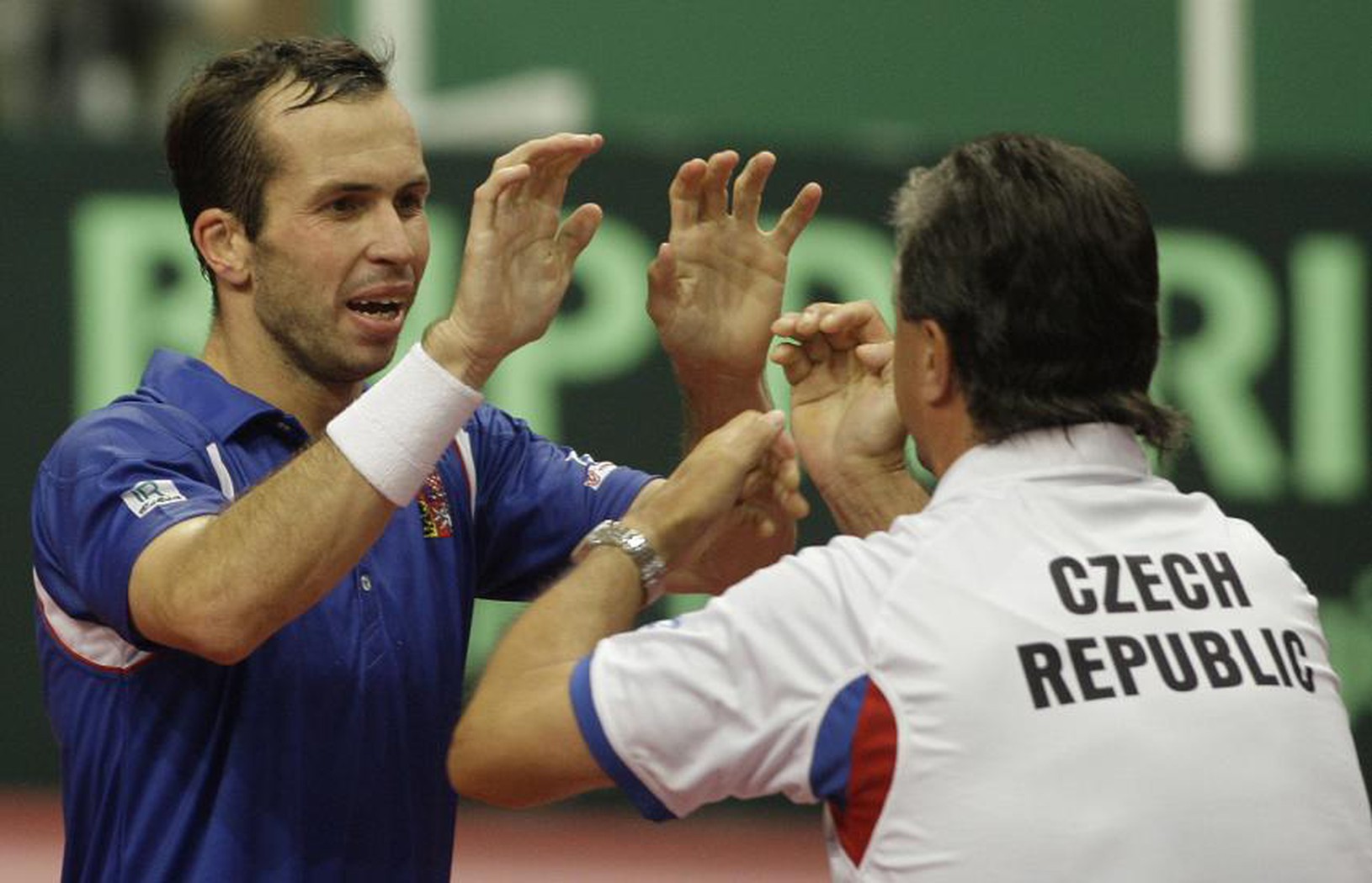 Radek Štepánek, Davis Cup,