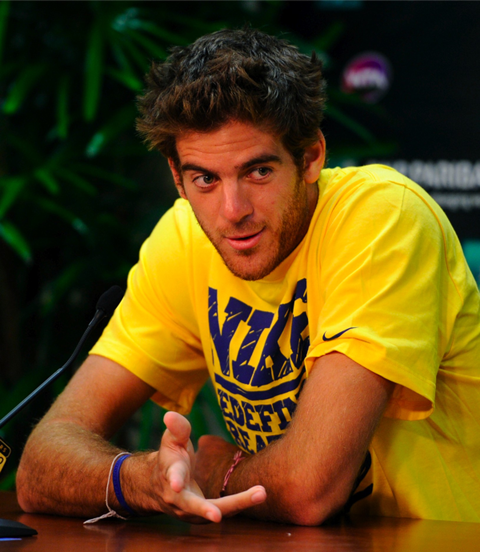 Juan Martin del Potro