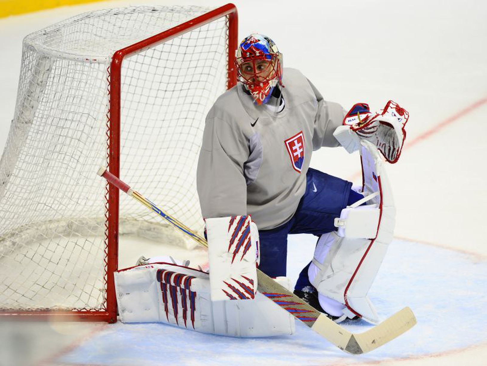 Jaroslav Halák