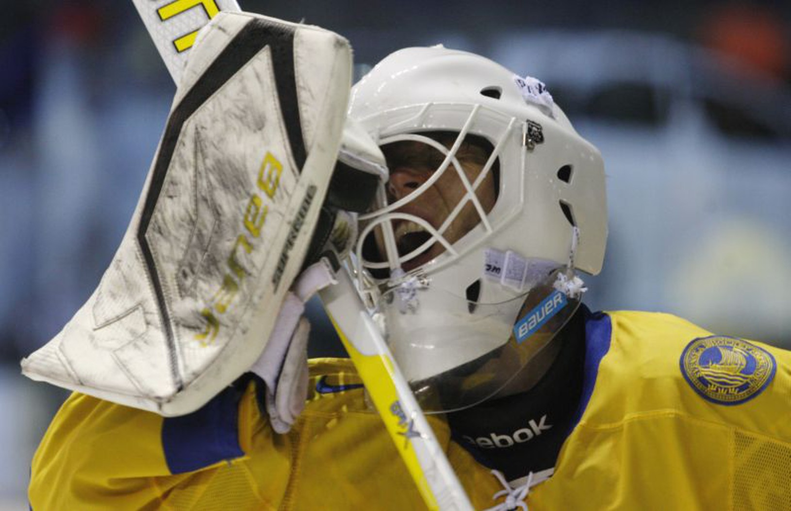 Švédsky brankár Victor Fasth