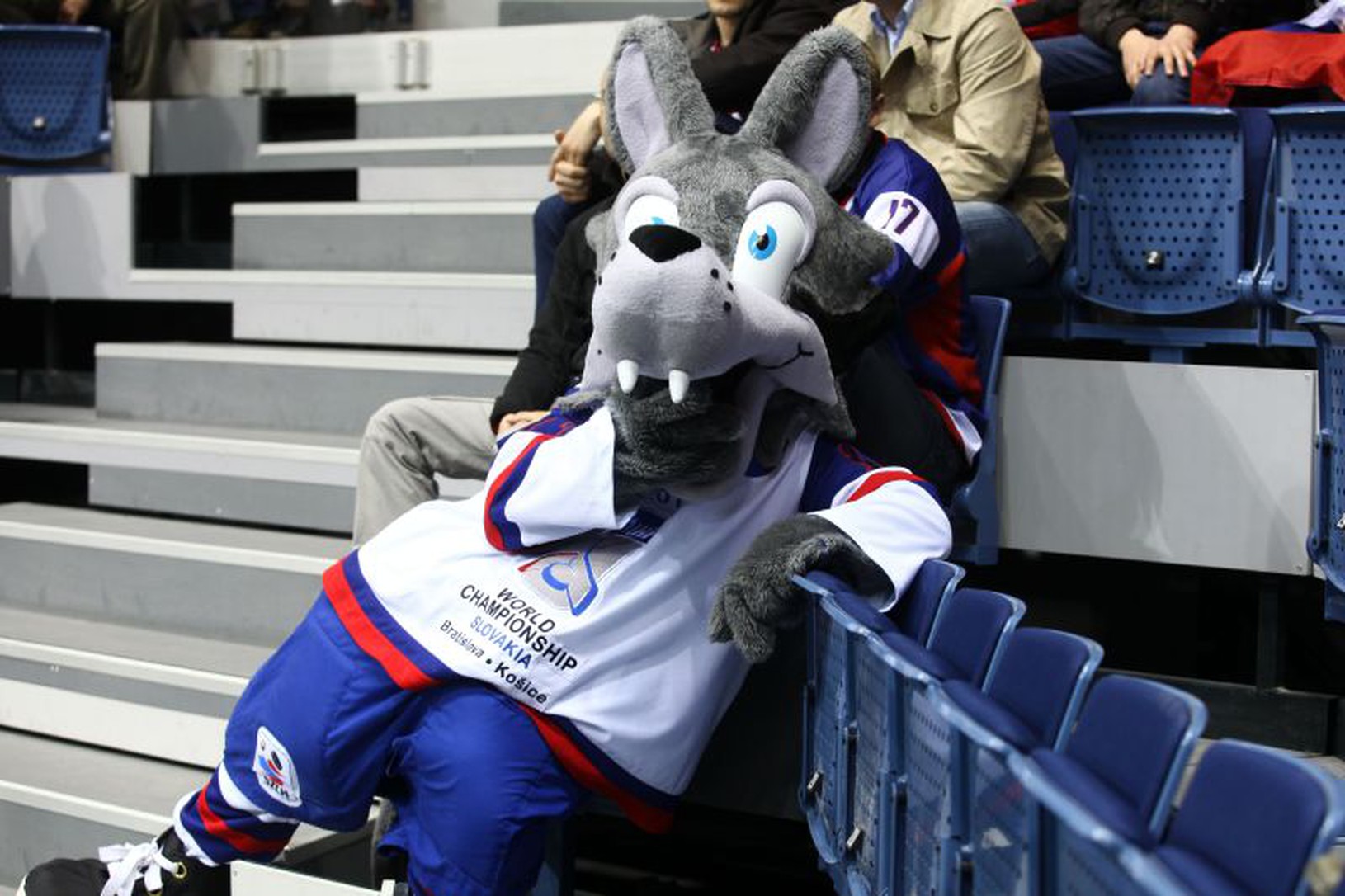 Maskot šampionátu Goooly v