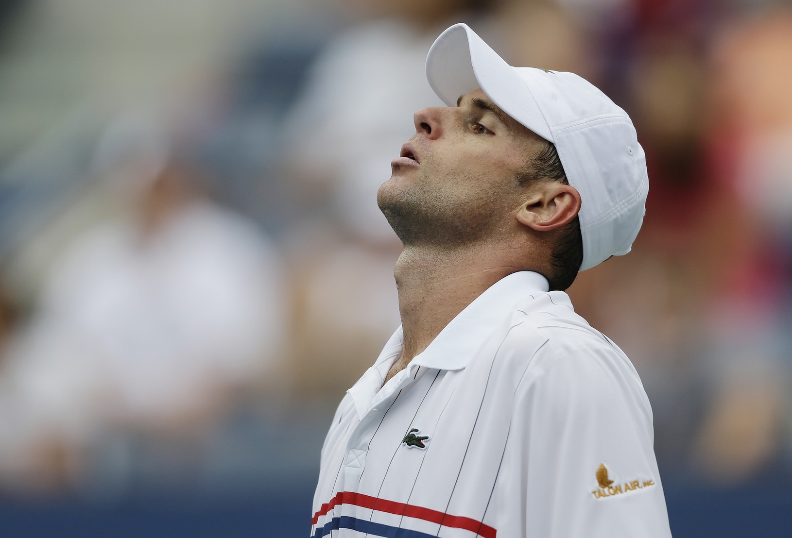 Andy Roddick