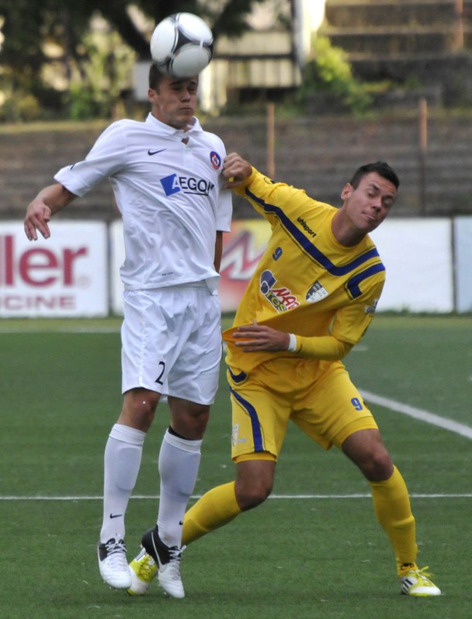 Zoltán Harsányi