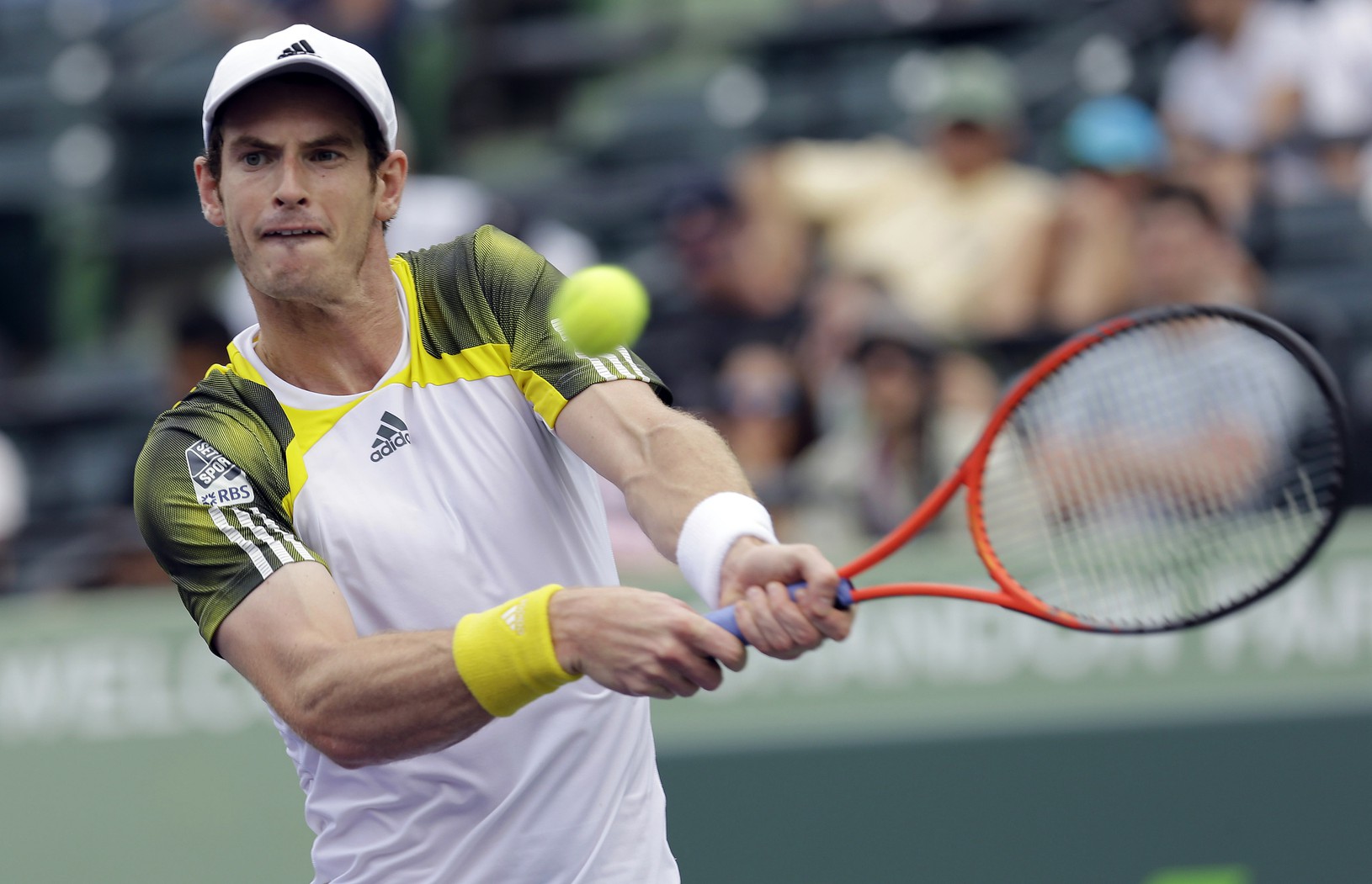 Andy Murray