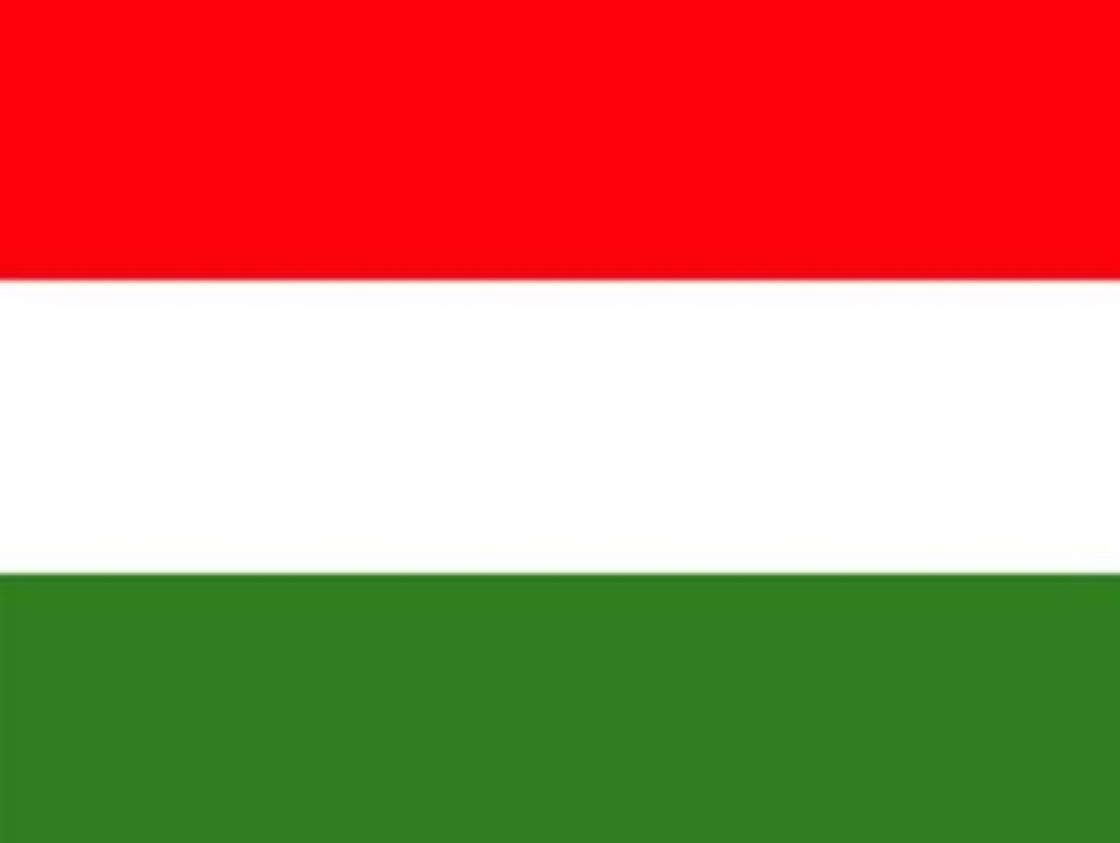Maďarsko bojuje s medzinárodným