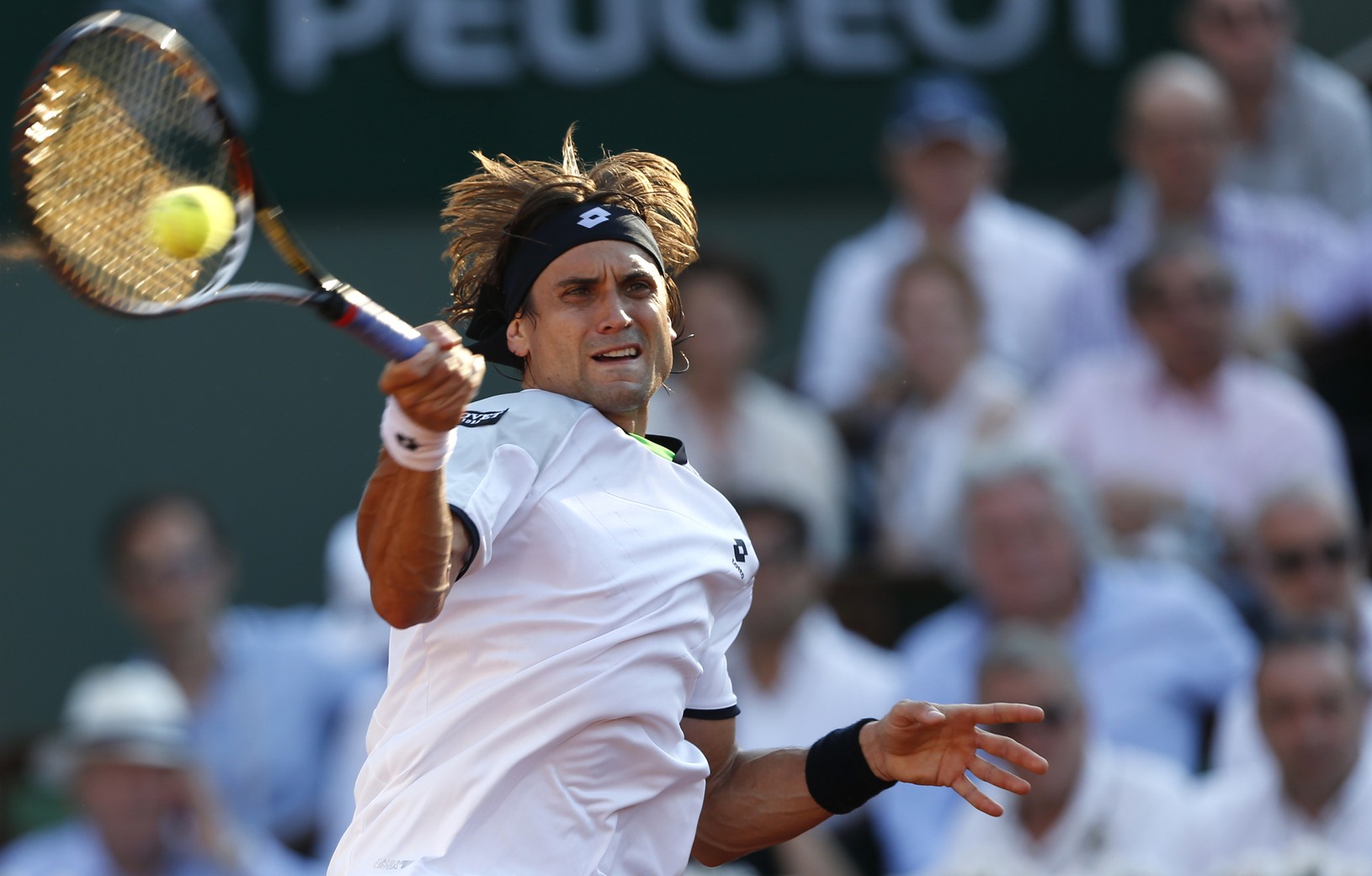 David Ferrer