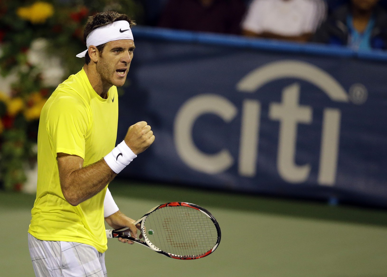 Juan Martin Del Potro