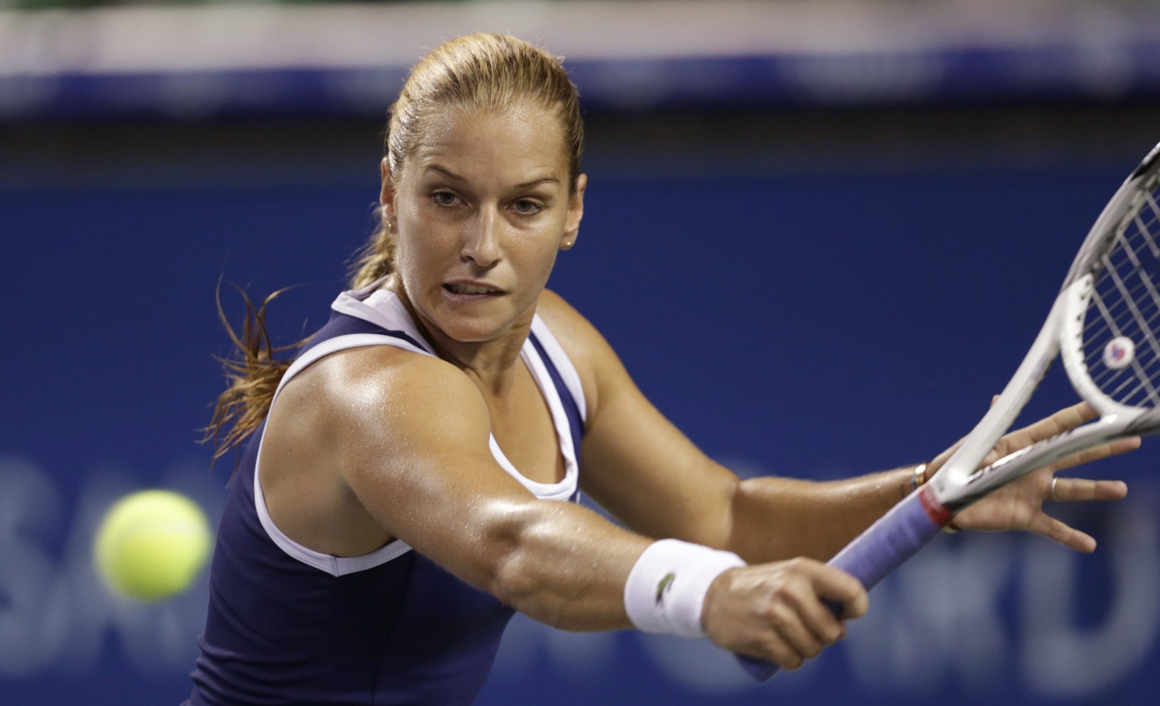  Dominika Cibulková