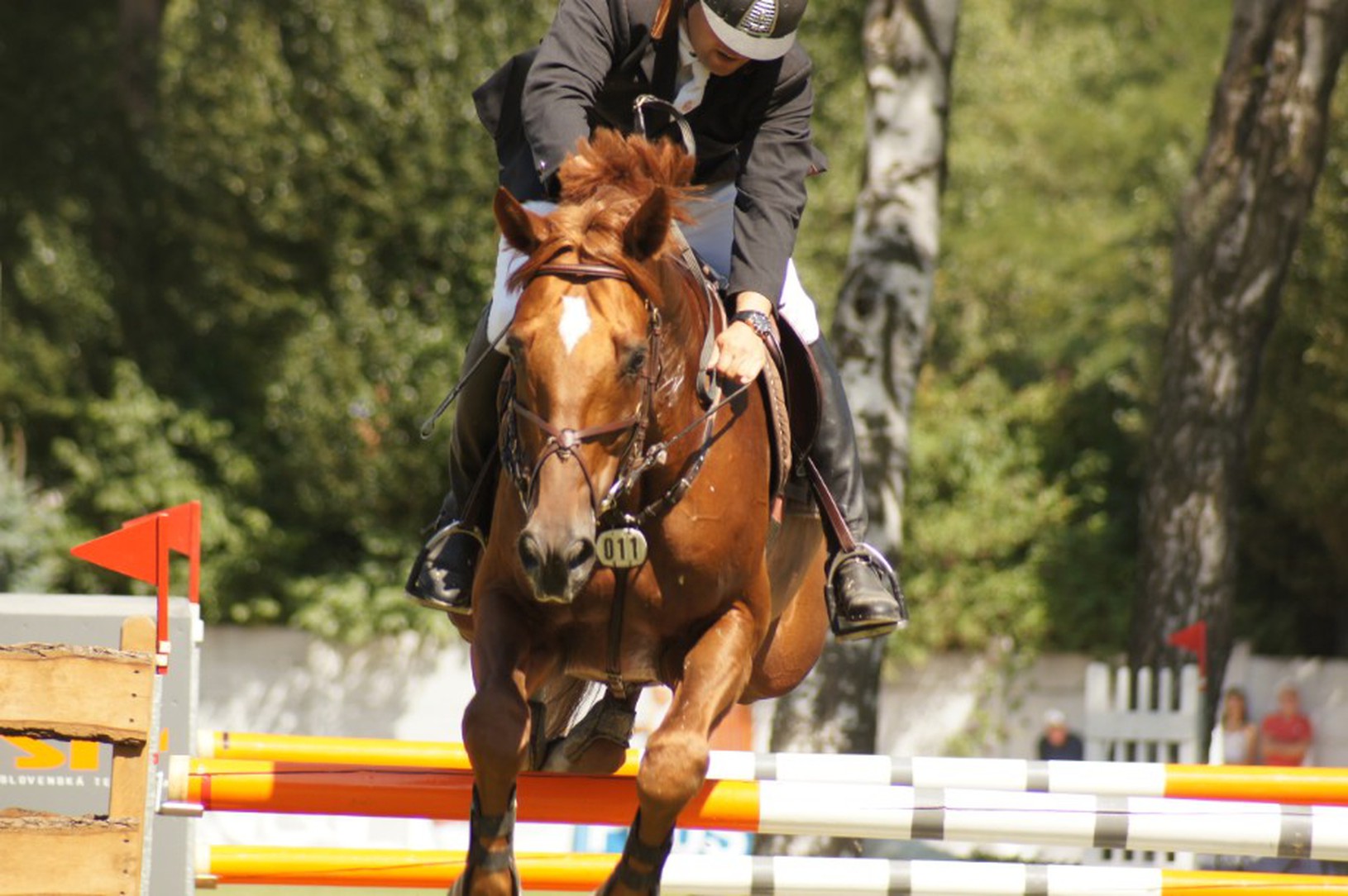 Grand Prix