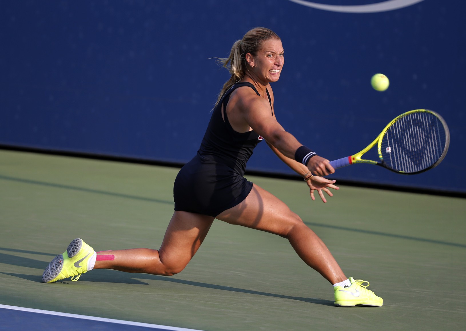 Dominika Cibulková